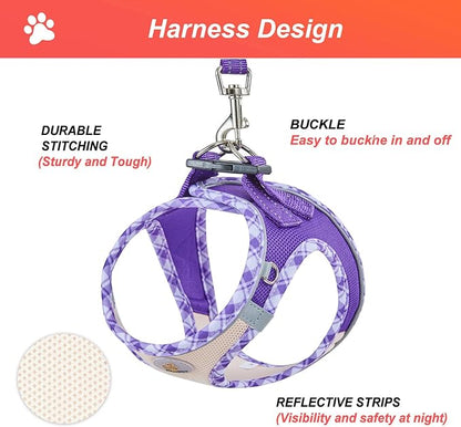 Hipubby Dog Harness Small Sized and Leash Set, No Pull Soft Mesh Puppy Vest, Reflective Breathable Lightweight Pet Harness, Harness for Small Medium Dogs and Cats - Purple/White Trim, M