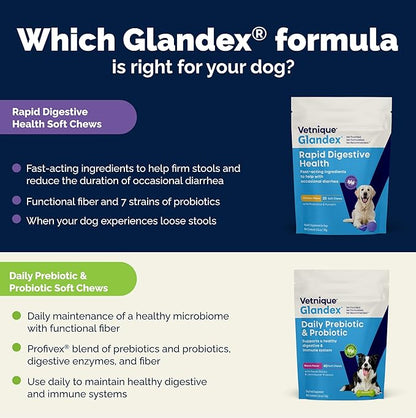 Vetnique Glandex Rapid Digestive Support for Dogs with Loose Stool | Diarrhea - Probiotics and Pumpkin for Dogs to Help Firm Dog Poop - 25 Chicken Flavored Soft Chews (25ct, Anti-Diarrhea)