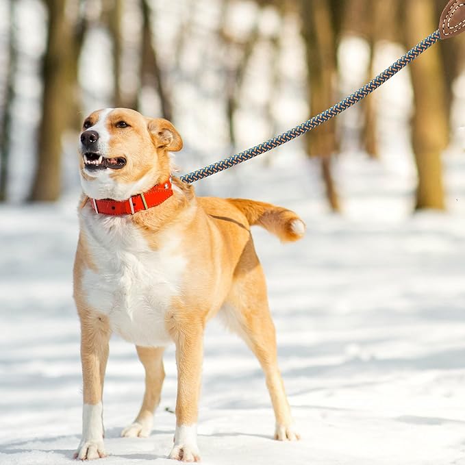 Mile High Life Rope Leash with Genuine Leather Connection, 6 FT/5 FT/4 FT, Heavy Duty Dog Leash for Medium & Large Dogs (Peacock Blue, 48 Inch)
