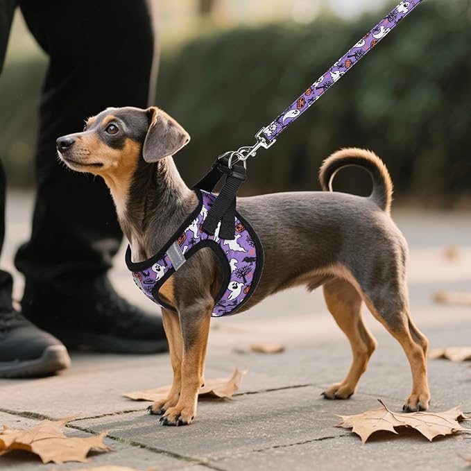 KOOLTAIL Halloween Dog Harness and Leash Set for Small Medium Dogs, Step in No Pull Soft Mesh Harness Comfort Padded Pet Vest, Adjustable Reflective Easy Walking Puppy Cats Harness Training, Ghost M