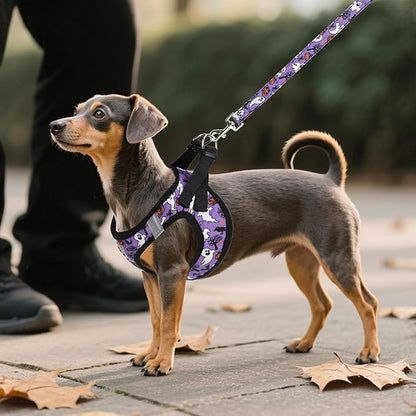 KOOLTAIL Halloween Dog Harness and Leash Set for Small Medium Dogs, Step in No Pull Soft Mesh Harness Comfort Padded Pet Vest, Adjustable Reflective Easy Walking Puppy Cats Harness Training, Ghost M