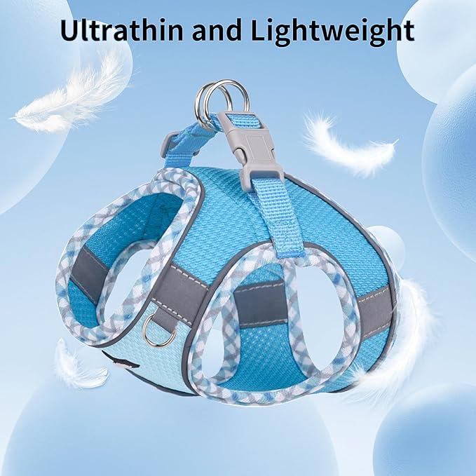AIITLE Tiny Dog Harness - Lightweight Mesh Step-in Vest for Puppy, Reflective & Escape-Proof Design with High-Stick Magic Tape - Indoor/Outdoor Use for Chihuahua, Maltese, Shih Tzu(Blue, XXXS)