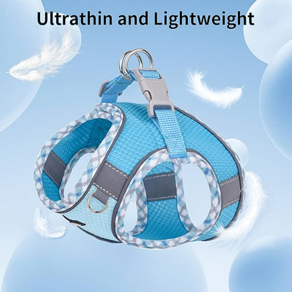 AIITLE Tiny Dog Harness - Lightweight Mesh Step-in Vest for Puppy, Reflective & Escape-Proof Design with High-Stick Magic Tape - Indoor/Outdoor Use for Chihuahua, Maltese, Shih Tzu(Blue, XXXS)
