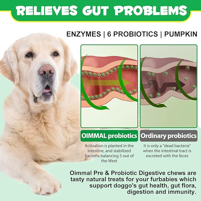 Probiotics for Dogs Digestive Health, Digestive Soft Chews for Dogs, Dog Probiotics and Digestive Enzymes, 120 Dog Chews Omega-3 & 6, Vitamin, Improve Digestion, Immunity