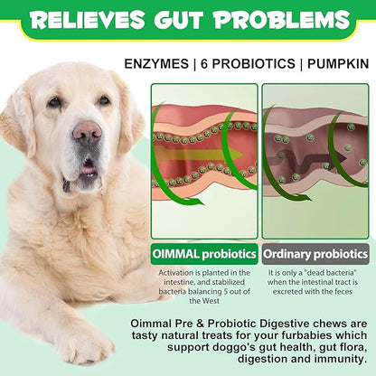 Probiotics for Dogs Digestive Health, Digestive Soft Chews for Dogs, Dog Probiotics and Digestive Enzymes, 120 Dog Chews Omega-3 & 6, Vitamin, Improve Digestion, Immunity