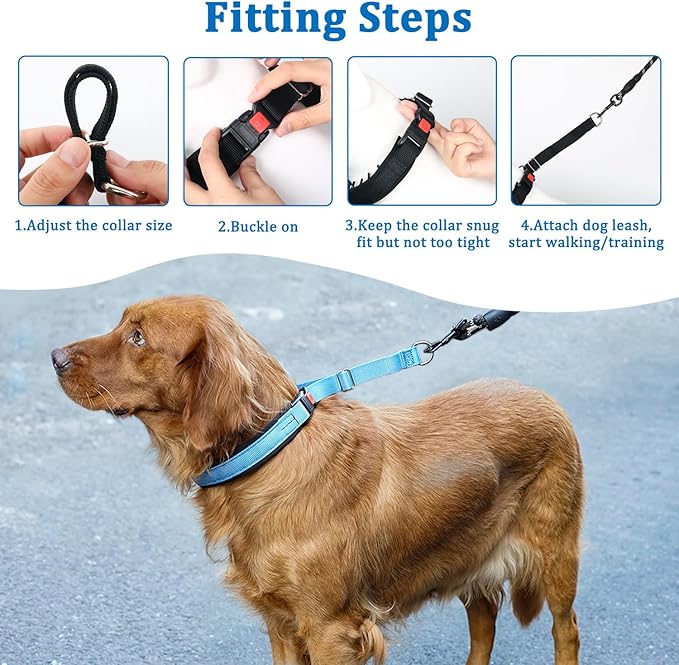Mayerzon No Pull Dog Collar, Patented Martingale Collar for Small Medium Large Dogs with Buckle and Heavy Duty Nylon for Walking Training Hunting, Safe and Easy to Use(S, Blue)