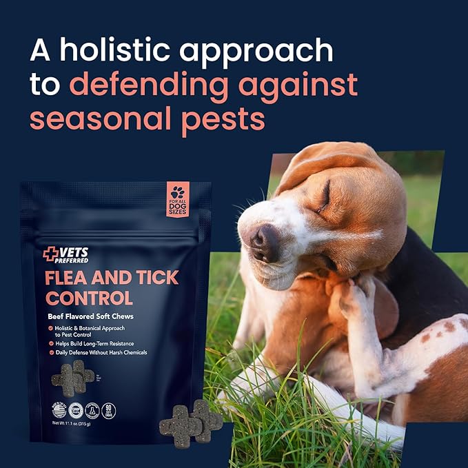 Vets Preferred Flea and Tick Prevention for Dogs Chewable - Daily Defense Without Harsh Chemicals - Immune Support & Antioxidant Protection - Beef Flavored - 90 Soft Chews