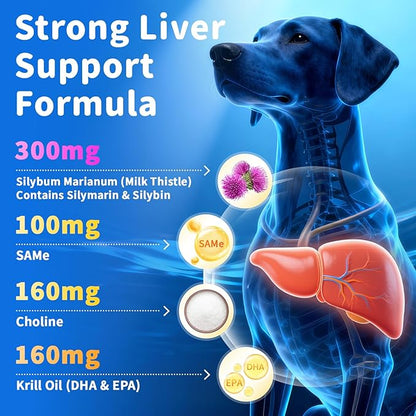 Senior Dog Liver & Joint Supplement – Same, Milk Thistle (Silybin), Glucosamine, MSM for Liver Health Detox, Mobility, Joint Pain Support, Cognitive & Vitality Support, Beef Flavor, 90Ct