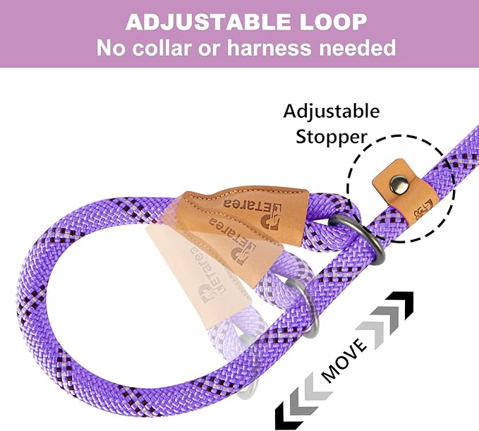 5 FT Slip Lead, Heavy Duty Rope Leash for Small to Large Dogs, No Pull Training Lead with Reflective Thread, Strong Comfortable Loop (Purple Stripe, Medium(3/8"))
