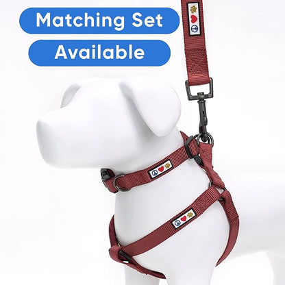 Pawtitas Personalized 6 ft Marsala Dog Leash M/L Custom Name and Phone Embroidery Strong Nylon Leash for Medium and Large Breeds