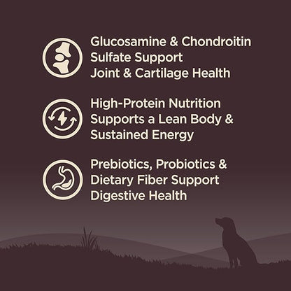 Wellness CORE Senior Dry Dog Food, Grain-Free, High Protein, Natural, Age Advantage Turkey & Chicken Recipe, (4-Pound Bag)