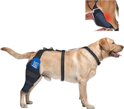 Dog Knee Brace for Torn ACL Hind Leg, Dogs ACL Brace with Removeble Hot/Cold Gel Packs for Cruciate Ligament,Leg Brace for Back Leg with Ice Pack, Rear Right Leg, XL