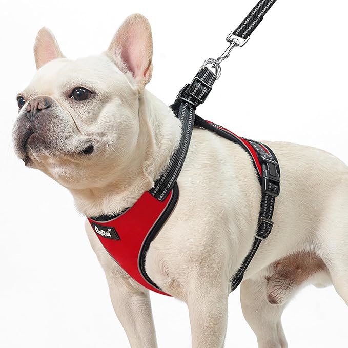 PUPTECK Dog Harness and Leash Set Medium Sized, Adjustable Reflective Escape Proof Puppy Vest, No Pull Walking Harness Easy Control