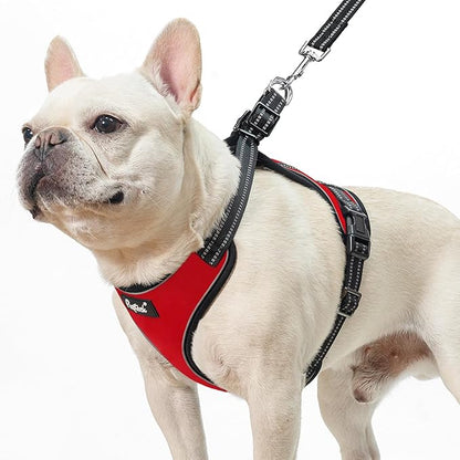 PUPTECK Dog Harness and Leash Set Small Sized, Adjustable Reflective Escape Proof Puppy Vest, No Pull Walking Harness Easy Control