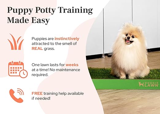 DoggieLawn Real Grass Puppy Pee Pads- 24 x 20 Inches - Perfect Indoor Litter Box for Dogs - No Mess, Easy-to-Use - Potty Training for Pets - Eco-Friendly Disposable Bathroom with Real Living Grass