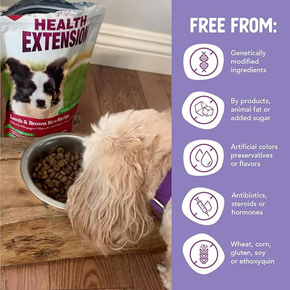 Health Extension Lamb & Brown Rice Dry Dog Food, Protein Packed Formula with Probiotics & Superfoods for Digestion & Coat Health (30 lb)