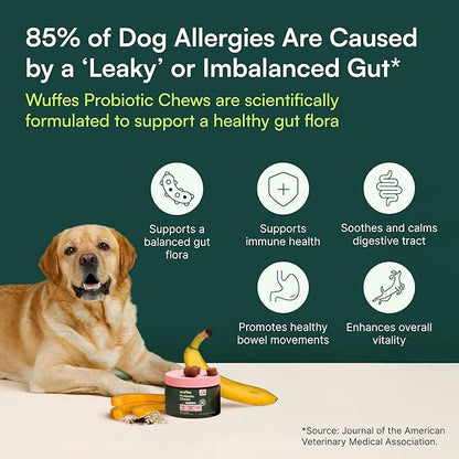 Wuffes Daily Probiotic for Dogs - Supports Digestive Health, Gut Balance, and Immune System - with Prebiotics, Marshmallow Root, and Pumpkin Powder - 60 Soft Chews