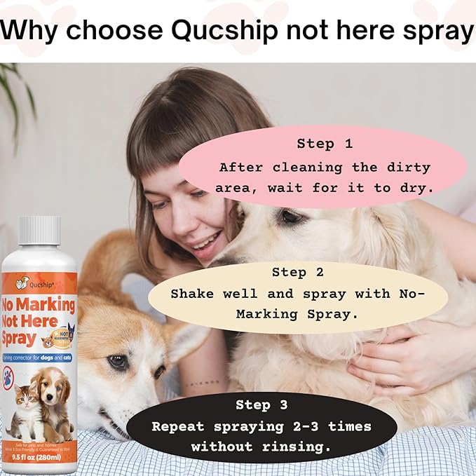 8oz No More Peeing in the House, Pee Spray for Dogs Indoor & Outdoor, Stop Dog Urinating with Dog Stay Away Spray, Don't Pee Here Dogs Training Spray