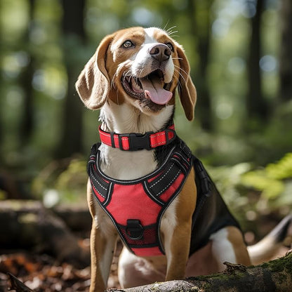 Joytale Reflective Dog Collar,Soft Neoprene Padded Breathable Nylon Pet Collar Adjustable for Large Dogs,Red,L