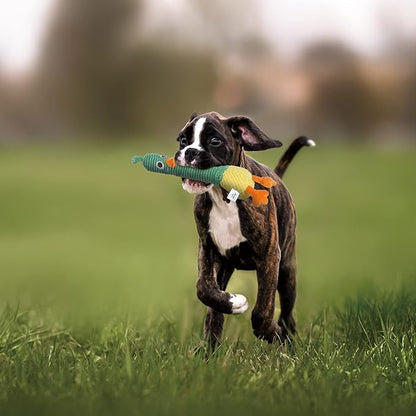 Nocciola 2 in 1 Easter Duck Dog Toy with a Large Rubber Squeaker - Tough Durable Stuffed Squeaky Crinkle Chew Toys for Aggressive Chewers, Medium and Large Breeds