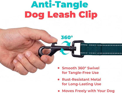 Best Pet Supplies Voyager Reflective Dog Leash or Collar with Neoprene Handle, for Small, Medium, and Large Breed Puppies, Cute and Heavy Duty for Walking, Running and Training - Blue (Leash), L