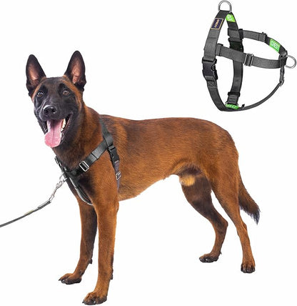 Freedom No Pull Dog Harness, Front Clip, Easy Walk, Dog Friendly with 2 Stainless D-Rings, Sewn-in Instructions Tags for Easy Use, for Large Dogs Weight 60-80 lbs (Black, L)