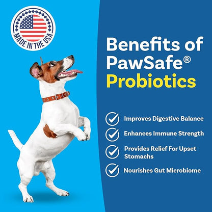 PawSafe® Dog Probiotics Soft Chews for Picky Eaters - USA Made, 120 Count - Digestive & Gut Health, Diarrhea, Gas Relief, Allergy & Itchy Skin Support - Natural with Pumpkin - Honey Chicken Flavor