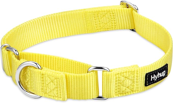 Hyhug Martingale Collar for Dogs Small Yellow |Escape - Proof Heavy Duty Nylon Durable No Buckle, Ideal for Training & Daily Walks