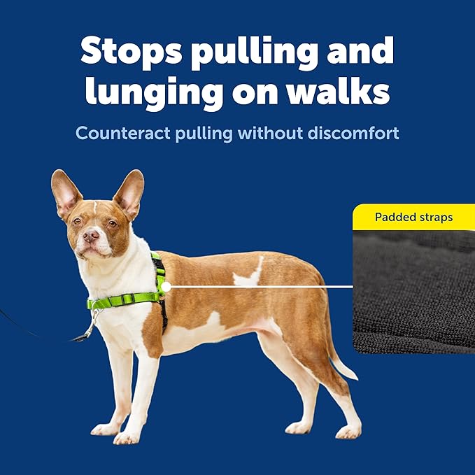 PetSafe Easy Walk Deluxe Dog Harness, No Pull Dog Harness – Perfect for Leash & Harness Training – Stops Pets from Pulling and Choking on Walks – Medium, Apple