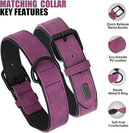Didog Soft Padded Leather Dog Collar and Leash Set, Adjustable Dog Lead and Collar Set with Metal Buckle, Breathable Pet Collars with 4FT PU Leather Leash for Small Medium Dogs, Purple, M