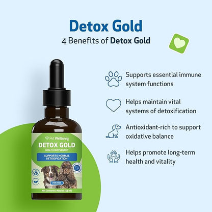 Pet Wellbeing Detox Gold for Dogs - Gentle Detoxification & Elimination Support, Immune System Care, Nettle, Blessed Thistle, Burdock Root - Veterinarian-Formulated Herbal Supplement 2 oz (59 ml)