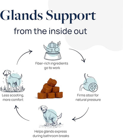 Veterinary Formula Anal Gland Support for Dogs – Vet-Formulated No Scoot Chews with Pumpkin, Ginger, Agave Inulin & Probiotics – Supports Scooting, Stool Quality & Digestive Health, 120 Soft Chews