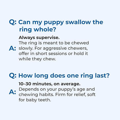 N-Bone Puppy Teething Rings Taste of Texas Queso Con Carne Flavor 3 Count