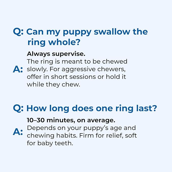 N-Bone Puppy Teething Rings Taste of Texas Burnt Ends Flavor 3 Count