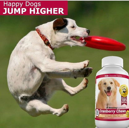 Amazing Cranberry Supplement for Dogs - Urinary Tract & Bladder Support - 120 Cranberry Chews with Apple Cider Vinegar for Immune Health - Dog Urinary Supplement - Made in USA - Bacon Flavor