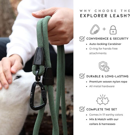 MADE TO ROAM Premium Explorer Leash - Climbing Rope Leash with Autolocking Aviation Aluminum Carabiner - Washington Rain, 4ft