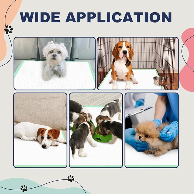 Dog Pee Pads Extra Large 30" × 36" - 40 Count, XXL Urine Underpads｜Unscented Green Pet Pee Pads, Super Absorbent & Leak-Proof Potty Pads for Doggies