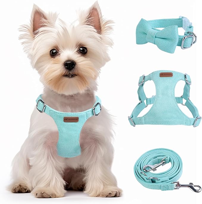 Dog Harness and Leash Set, XXS No Pull Adjustable Puppy Harness with Multifunction Pink Dog Leash and Dog Collar, Soft No Choke Escape Proof Pet Harness Vest for Small Dogs and Cats (Mint Green, XS)