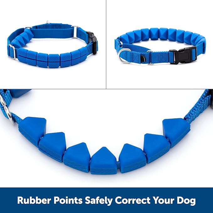 PetSafe Soft Point Training Collar - Comfortable No-Pull Adjustable Quick-Release Collar with Removable Soft Rubber Points - Pain-Free Training for Better Leash Manners - Medium - Blue