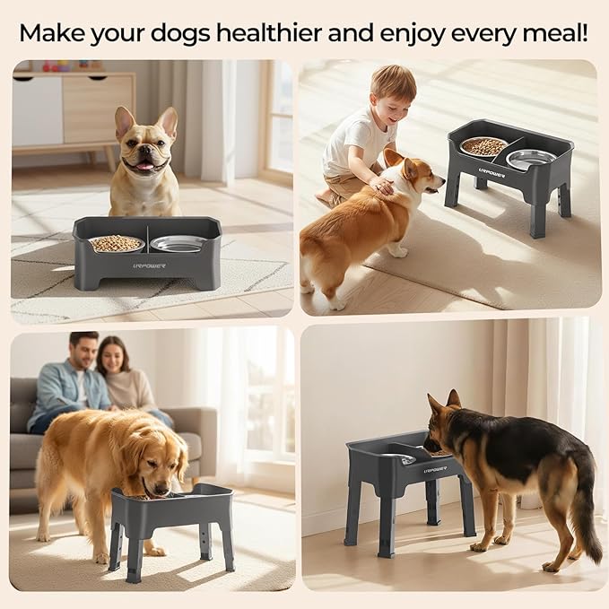 URPOWER Mess Proof Elevated Dog Bowls, High Wall Splash Guard Design, 4 Height Adjustable Raised Bowl Stand, 2 Stainless Steel Bowls, Non-Slip Food Water Set for Small Medium Large Dogs