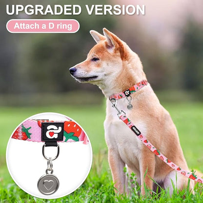 azuza Fruit Dog Collar and Leash Set, Collar Nylon and Matching Leash, Great Option for Medium Dogs, Strawberry, M (Neck: 14"-20")