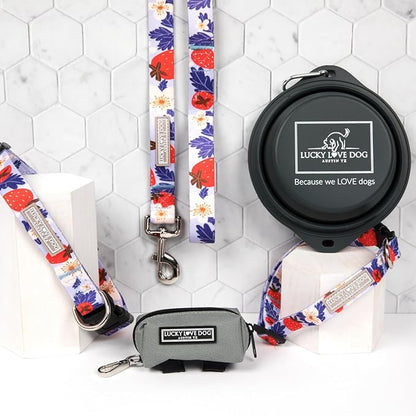 Lucky Love Dog Martingale Collar and Leash Set, Premium Fun Girl No Slip Collars, Strawberry Martingale Dog Collar and Leash Set, Great for Whippets, Greyhounds, and More (Sweet Berry, Medium - Combo)
