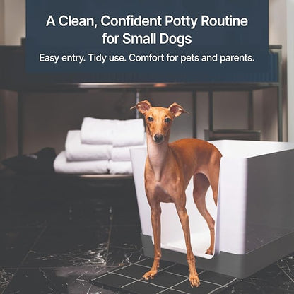 Indoor Dog Potty with High Walls and Low Entry for Small Dogs — Vertical Pad Holder, Splash Guard, and Clean Modern Design by DoggyBathroom (Regular, Dark Grey)