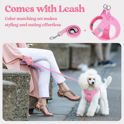 rabbitgoo Dog Harness Medium Sized and Leash Set, Step in Soft Light Puppy Vest, Breathable Mesh Pet Harness, Reflective for Safe Easy Walking, Light Pink XXL