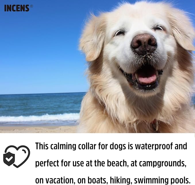Calming Collar for Dogs, Designed to Alleviate Anxiety in Dogs, is Adjustable and Lasts for 45 Days. It is Suitable for Small and Large Dogs, and Comes in Purple - 1 Pcs