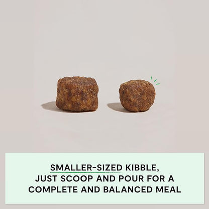 Open Farm, Grain-Free Dry Dog Food for Small Breeds, High-Protein Kibble, Sustainably & Ethically Sourced Ingredients, Non-GMO Veggies & Superfoods, Chicken & Turkey Recipe for Small Dogs, 4lb Bag