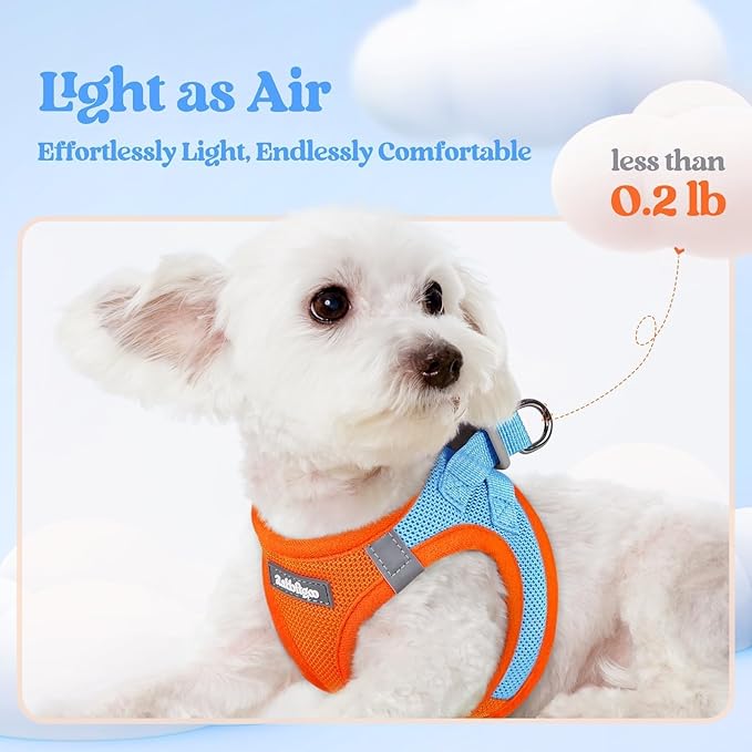 rabbitgoo Dog Harness Small Medium Sized and Leash Set, Step in Soft Light Puppy Vest, Breathable Mesh Pet Harness, Reflective for Safe Easy Walking, Blue & Orange XL
