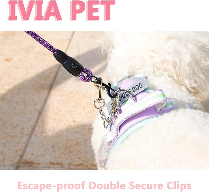 2 PCS Dog Collar Metal Safety Clip, Harness Collar Leash Chain Connector, Heavy Duty Double End Spring Backup Buckle Clasp, Escape-Proof Safety Accessory (Small, Silver)