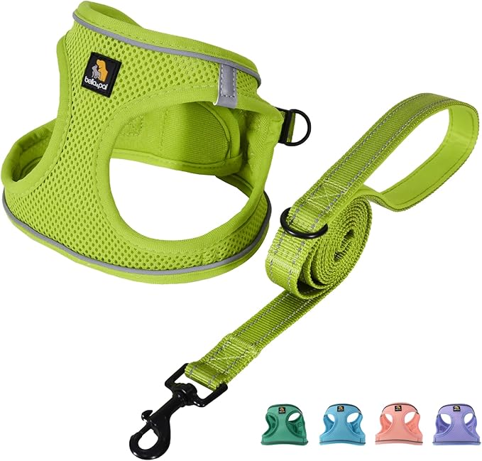 BELLA & PAL Step in Vest Harness for Small and Medium Dogs, No Pull Small Dog Harness with Leash Set, Comfortable Air Mesh Dog Vest Harness with Reflective Strip (Avocado Green, M)