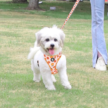 Dog Cat Harness and Leash Set, Puppia Soft Mesh Padded and Adjustable Puppy Vest Cute Dog Clothes Escape Proof Easy Walk Pet Accessories (Grapefruit, XS (Neck 9"-11"; Chest 11"-13"))